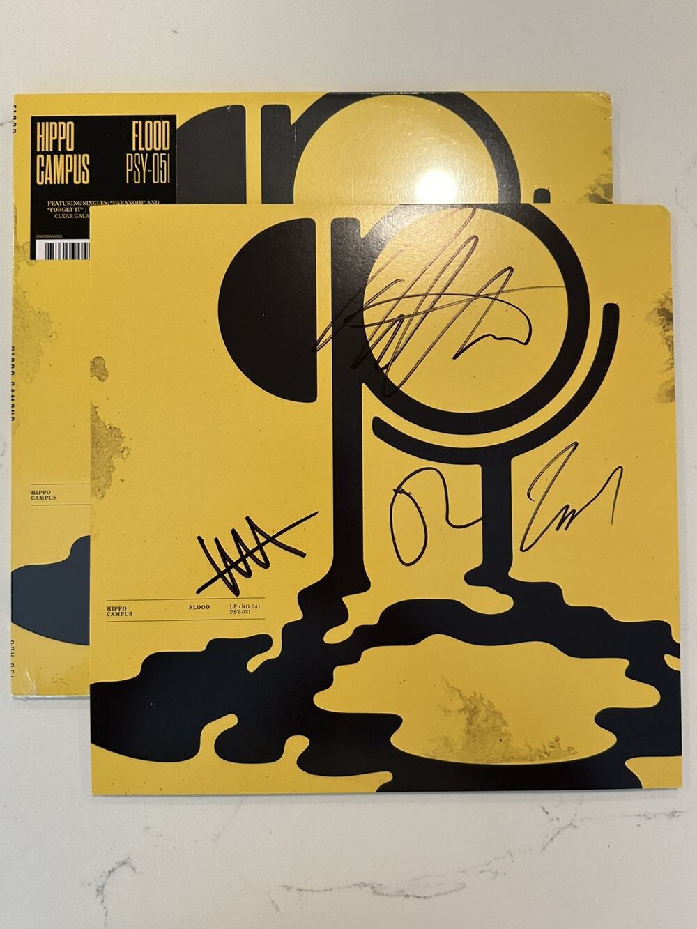 Hippo Campus - Flood Clear Galaxy 2xLP with Signed Artwork Print AUTOGRAPHED